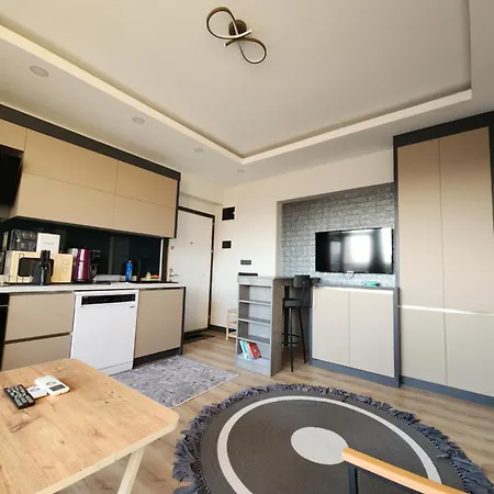 Wind Luxury Apartment *
